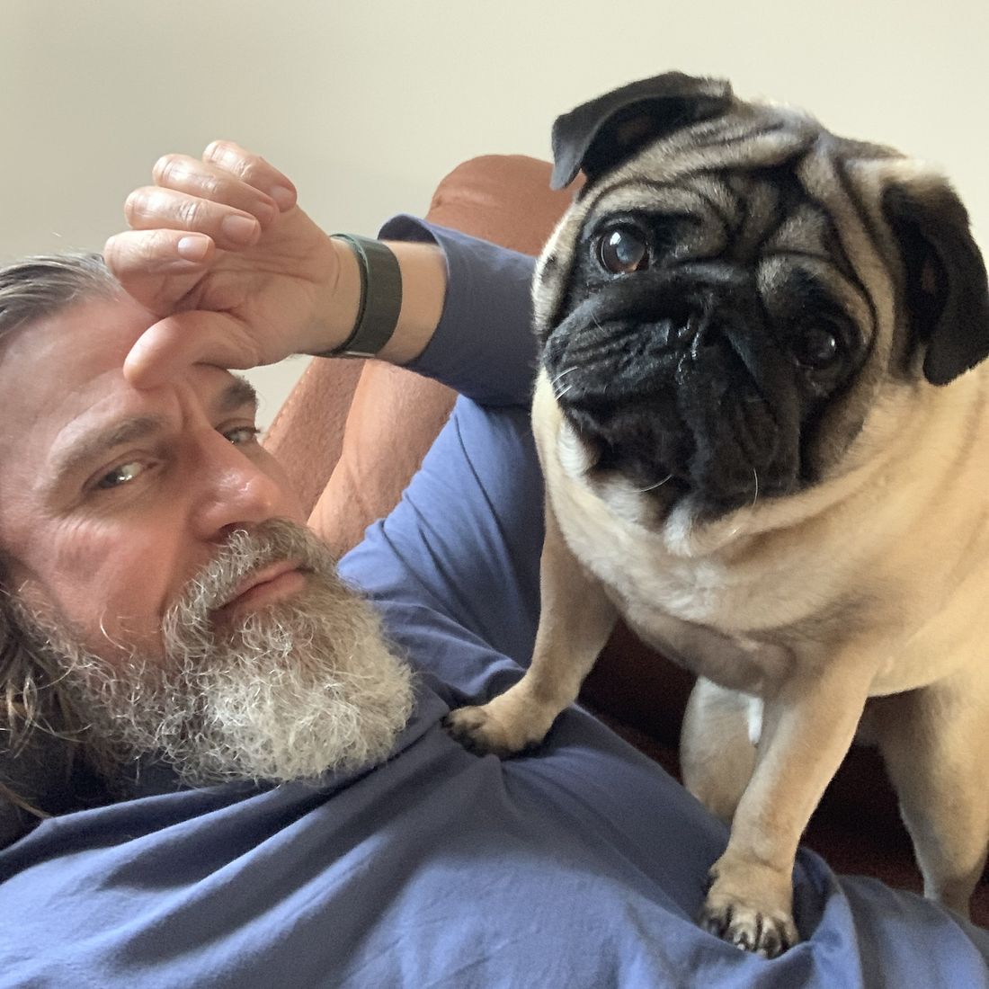 Max the pug standing on Jason's chest while Jason lies on the sofa